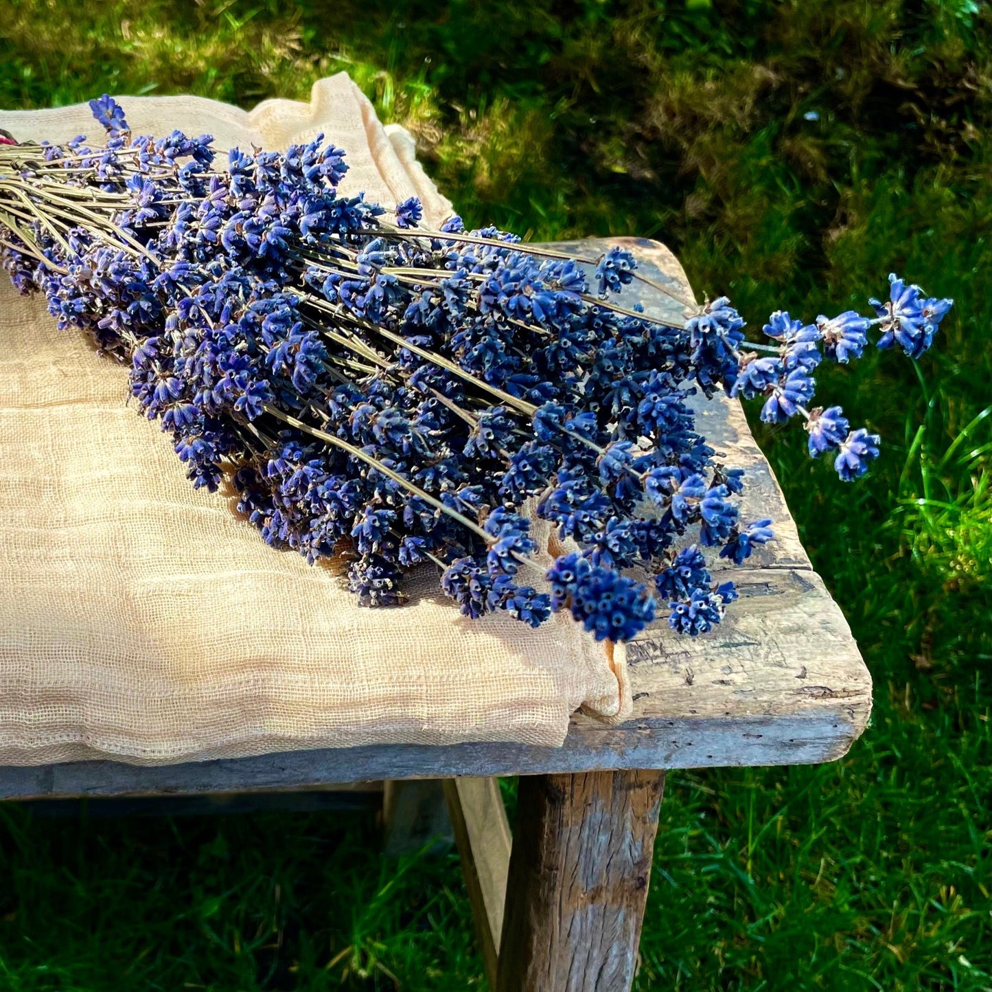 Lavender Hanging Bag: Herb-Grace